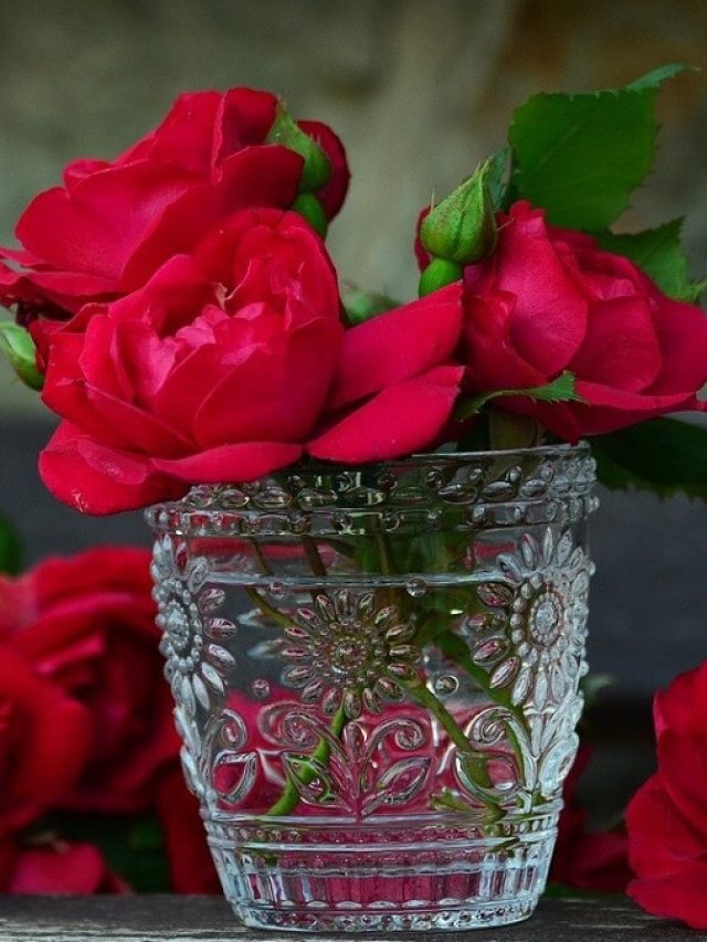 কীভাবে ফুলদানিতে ফুল রাখলে দীর্ঘদিন সতেজ থাকবে? জেনে রাখা ভাল