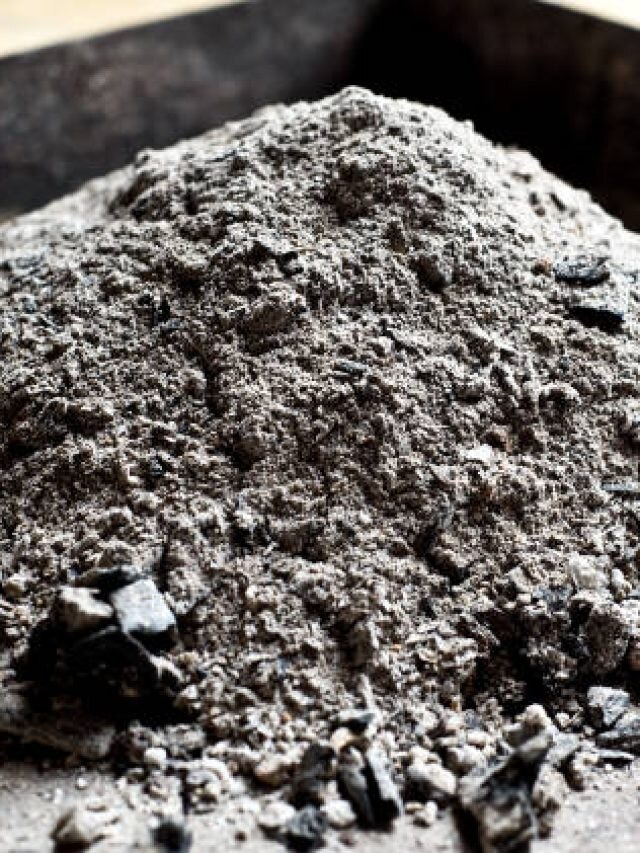 सड़क पर पड़ी इन 4 चीजों को भूलकर भी न लांघें, कष्टों से भर जाएगा जीवन