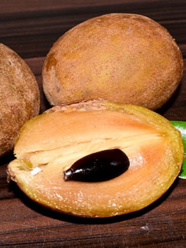 রোজ মাত্র ১টা সবেদা খেলেই হবে কামাল! দূরে থাকবে রোগ