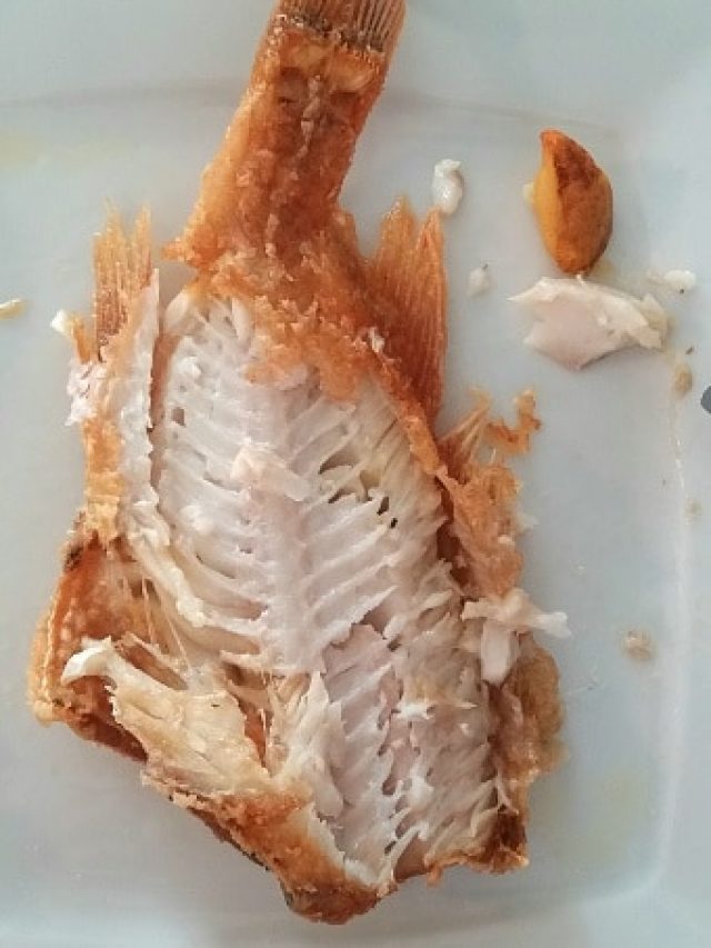 গলায় মাছের কাঁটা বিঁধে বিপত্তি? জেনে নিন বের করার ঘরোয়া উপায়