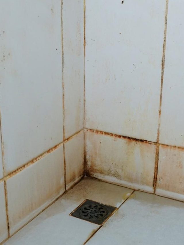 বাথরুমের মেঝেতে পা ফেললেই হড়কে যাচ্ছে? এই পাউডারেই পিছল হবে ভ্যানিশ