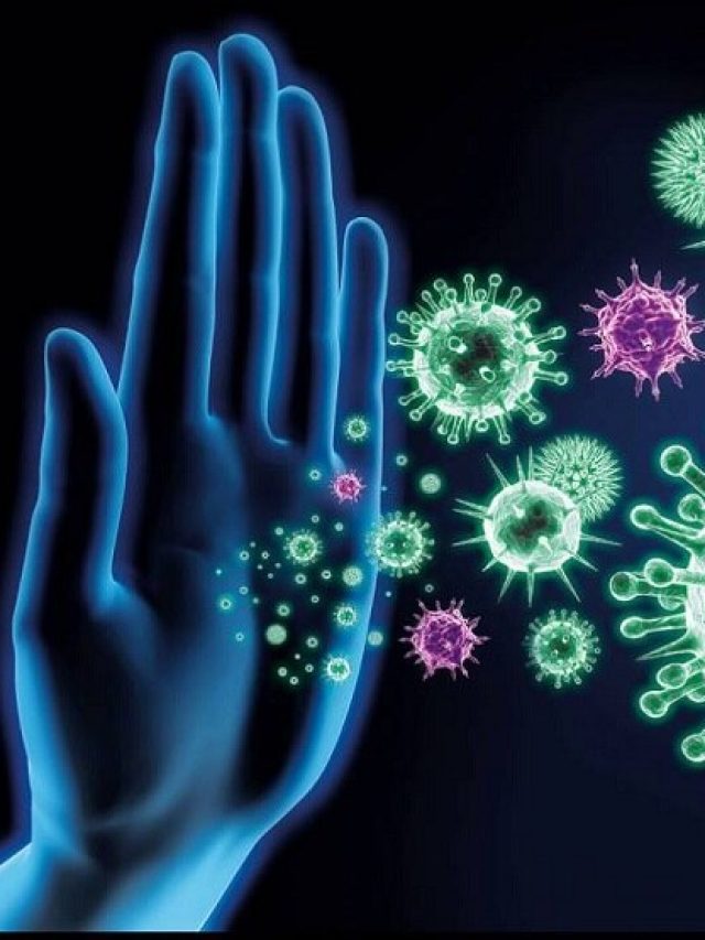 রোগ প্রতিরোধ ক্ষমতা বাড়াতে চান? রইল ৬টি দুর্দান্ত উপায়