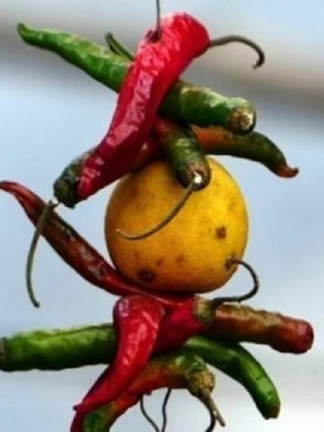 রাস্তায় পড়ে থাকা জিনিসে ভুলেও  হাত দেবেন না, বিপদ নিশ্চিত