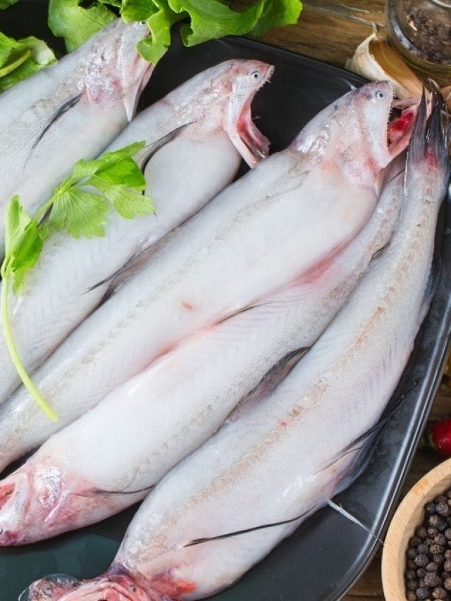 লটে মাছ খেলে শরীরে মেলে এসব গুণ, জেনে রাখুন