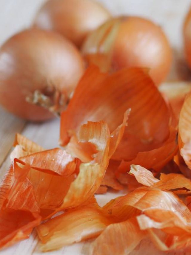 ফেলে দেবেন না পেঁয়াজের খোসা, বাড়ির অনেক কাজে লাগবে