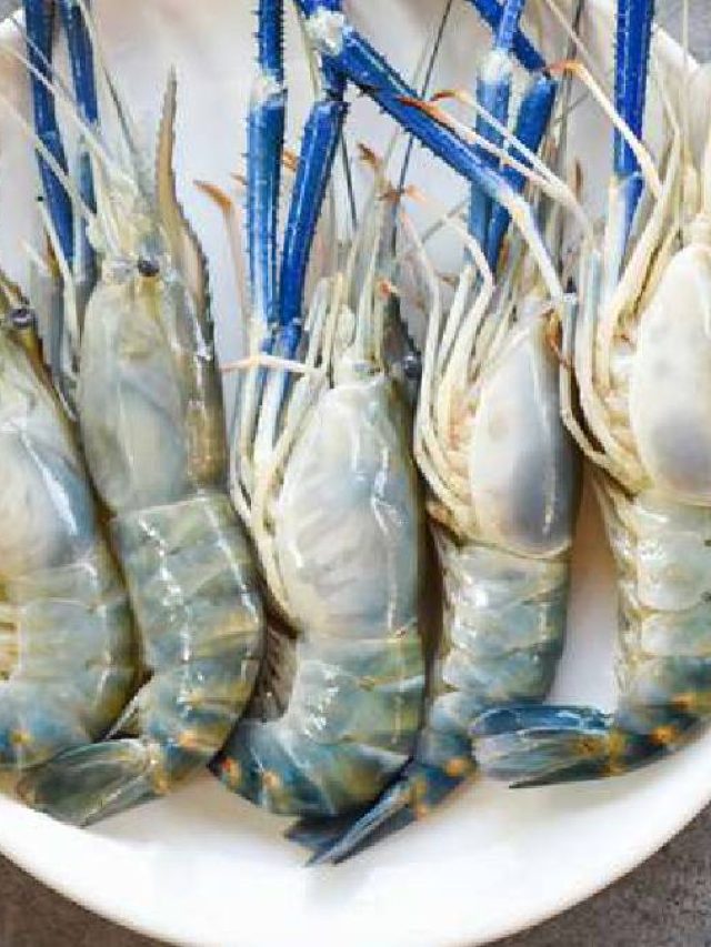 পুজোয় আর রেস্তোরাঁয় নয়, বাড়িতেই তৈরি করুন চিংড়ির ধোকা