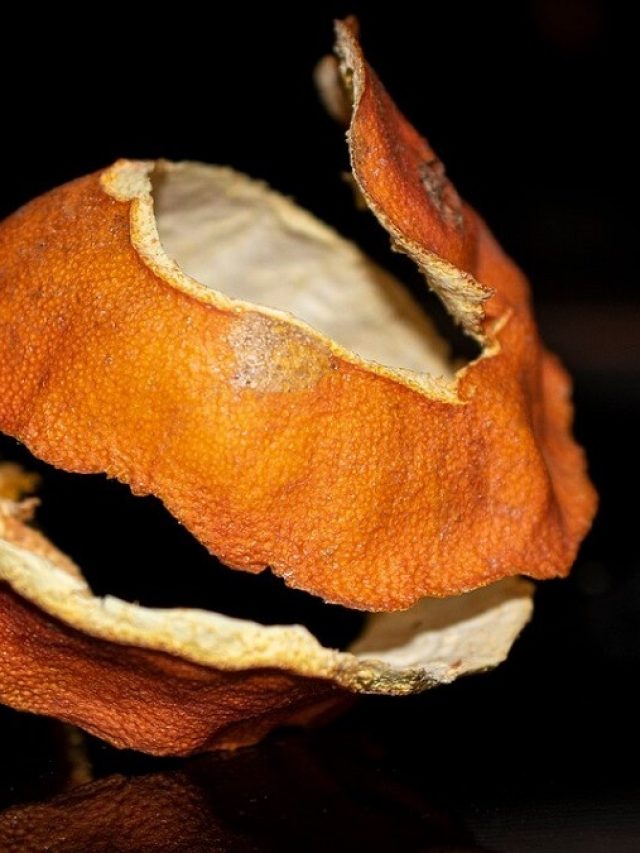 কমলালেবু খোসায় রয়েছে আসল ম্যাজিক, না জানলে মিস!