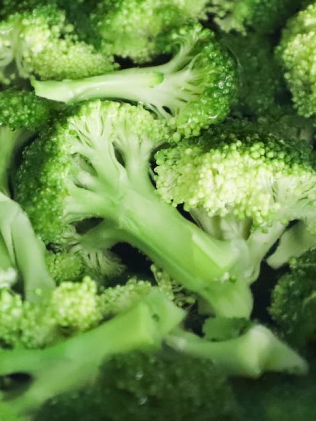 নিয়মিত ব্রকলি খেলে ফুসফুস সুস্থ থাকে, শ্বাসকষ্টের সমস্যা থেকেও মুক্তি