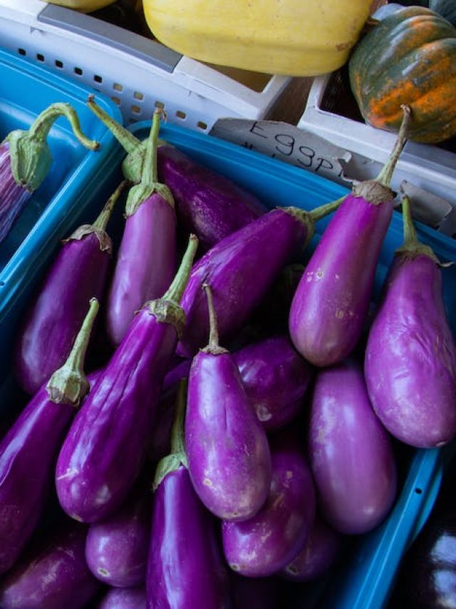 রাতকানা-দৃষ্টিশক্তি দুর্বল? রোজ পাতে থাকুক বেগুন