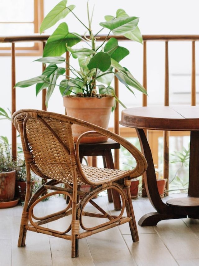 বারান্দায় খুব সহজেই হবে এই ৭টি গাছ