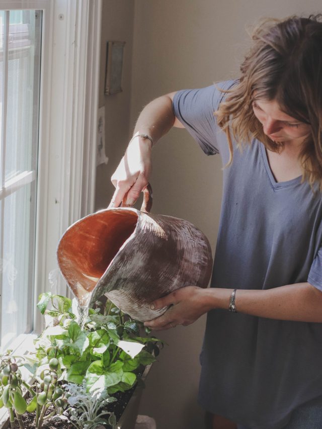 গাছেদের আদর্শ বাবা-মা হন এই রাশিরা