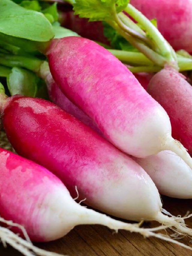 মুলো খেতে অরুচি, নিরামিষ এই রেসিপির সঙ্গে উঠে যাবে এক থালা ভাত