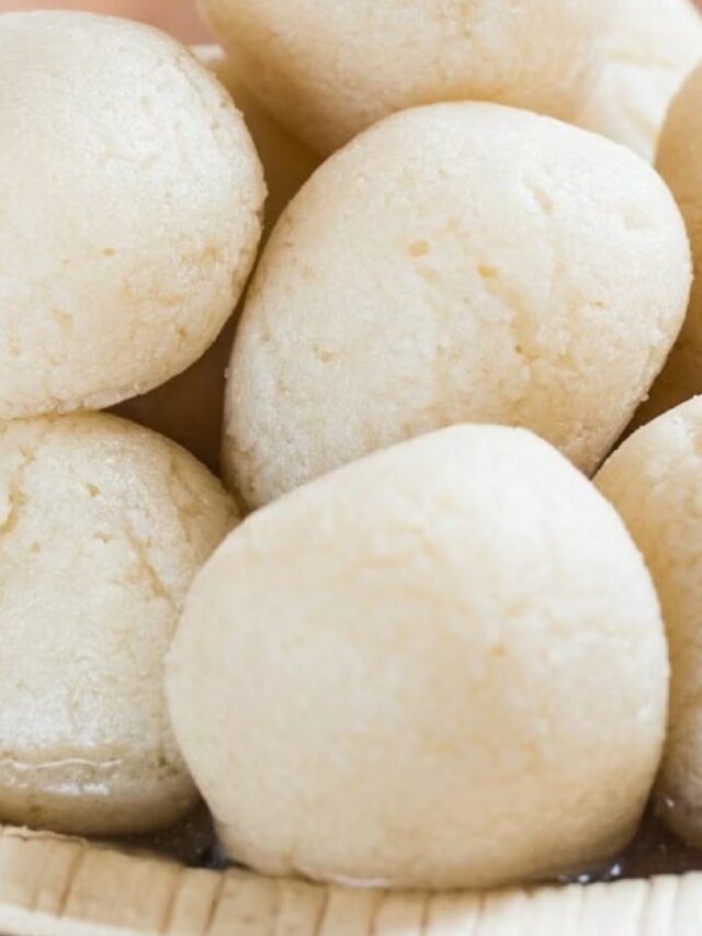 গুগলেও পাবেন না, জানুন ইংরেজিতে রসগোল্লাকে কী বলে?