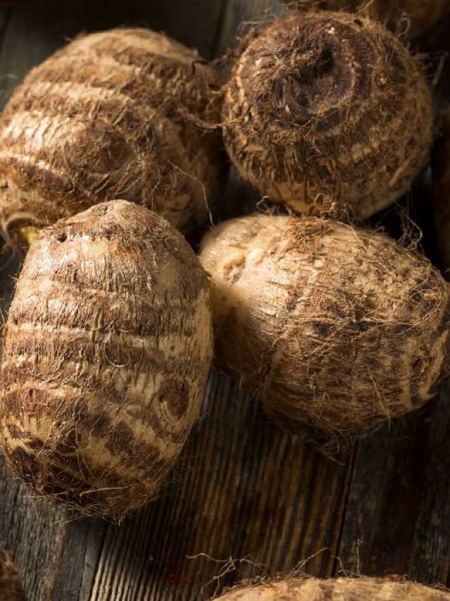 নানা রোগে জাদুকরী কচু, কী কী উপকারিতা?