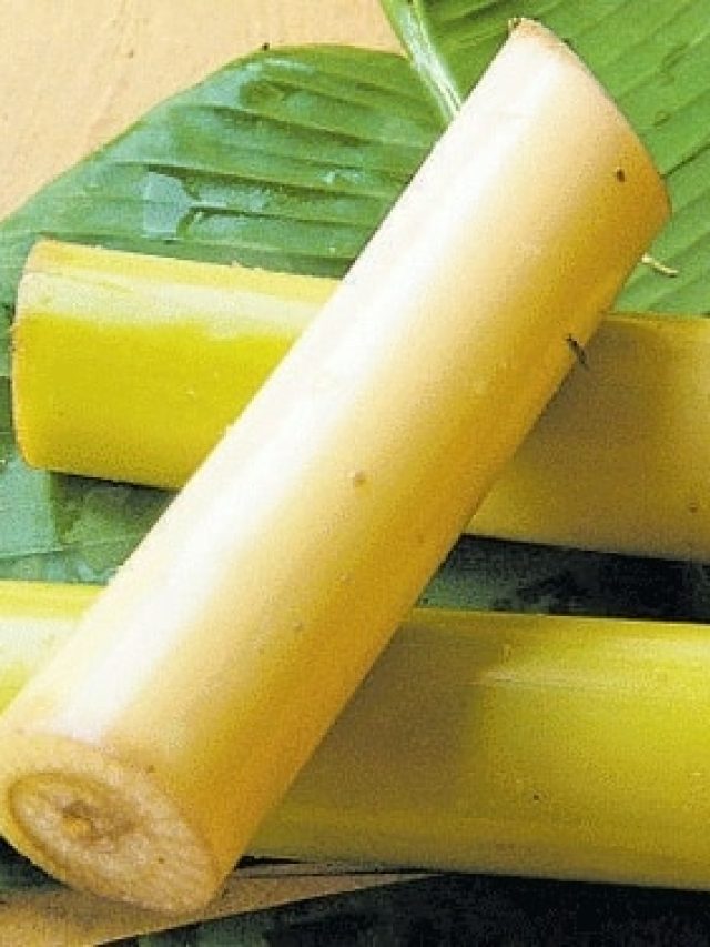 ব্লাড প্রেসার নিয়ন্ত্রণ থেকে কিডনি পরিষ্কার, থোড়ের রয়েছে বহু উপকারিতা