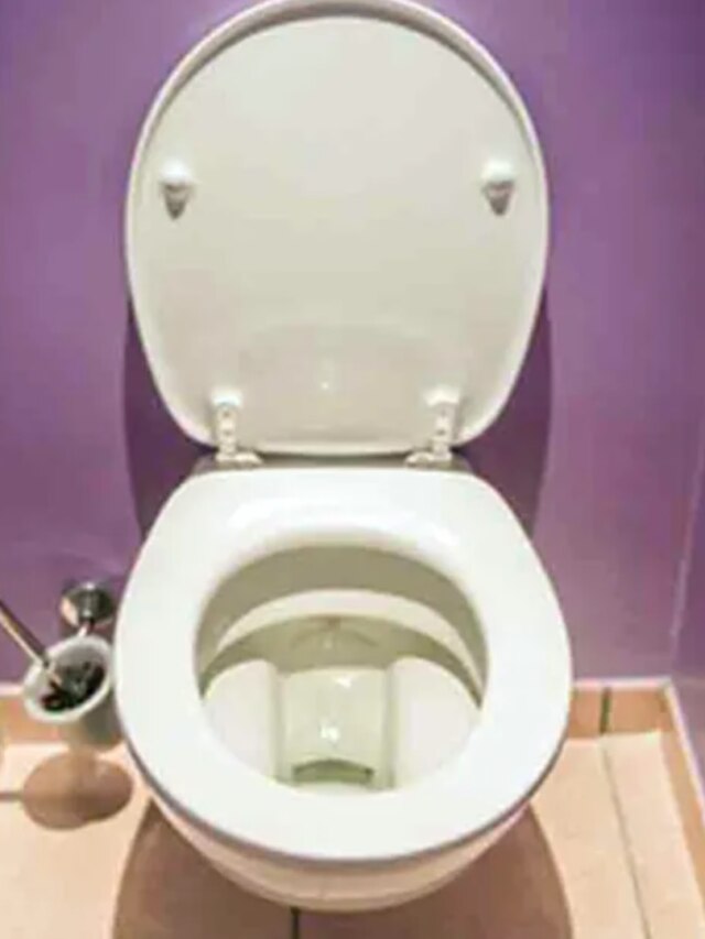 গরমে হবে না পেট খারাপ, যদি এক কোয়া রসুন খান এভাবে