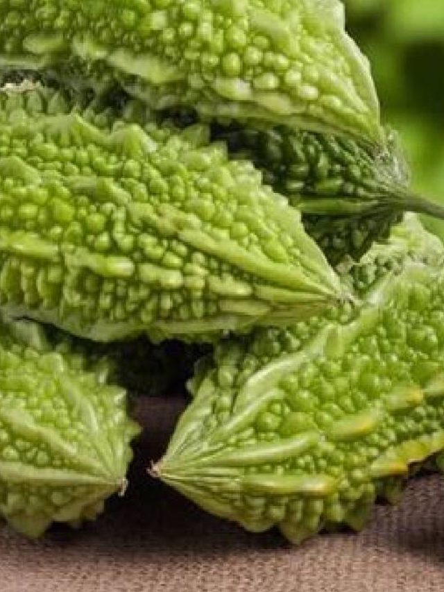 ভাইরাল জ্বরের পর রুচি নেই, স্বাদ ফিরবে উচ্ছের এই তরকারি খেলে