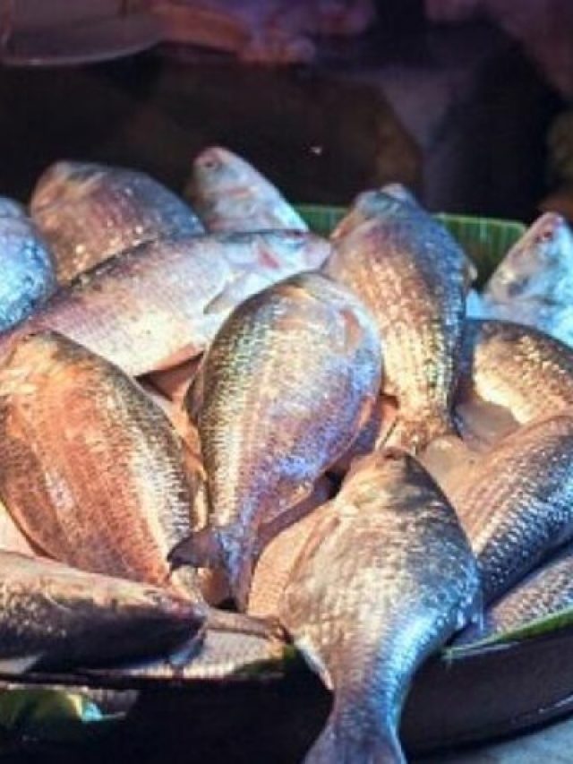 ইলিশের মাথা দিয়ে কচুর শাক, রইল রেসিপি