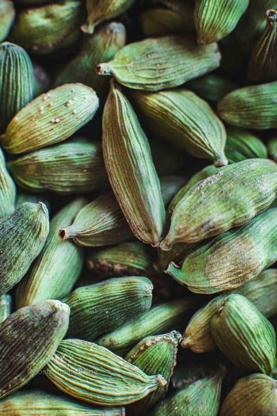 इलायची की पैदावार करने में ये राज्य हैं अव्वल, देखें लिस्ट! These