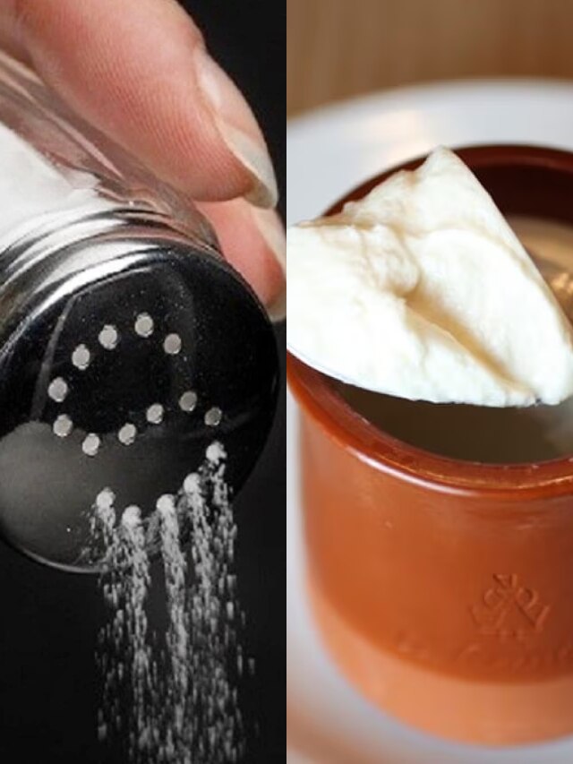 দইয়ের সঙ্গে নুন মিশিয়ে খান? কী ক্ষতি হচ্ছে শরীরের জেনে নিন