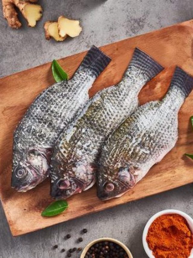 বয়স বাড়লেও যৌবন ফিকে হবে না,  জানুন মাছের আঁশের অভাবনীয় গুণ