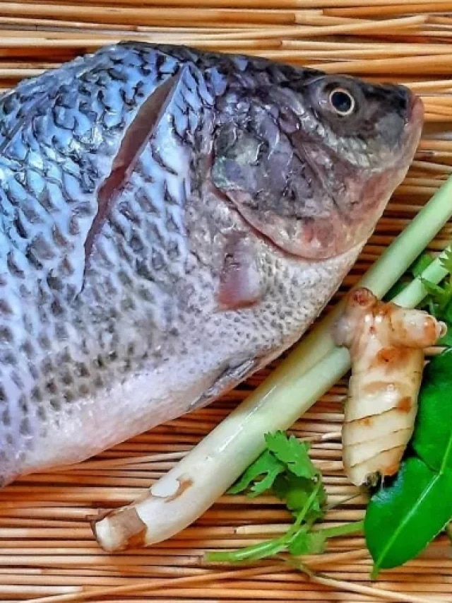 তেলাপিয়া মাছ কি বিষাক্ত? জেনে খান