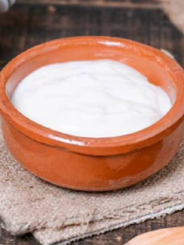 কাঁচা লঙ্কা দিয়ে পাতুন দই, হবে ঘন-সুস্বাদু, রইল রেসিপি