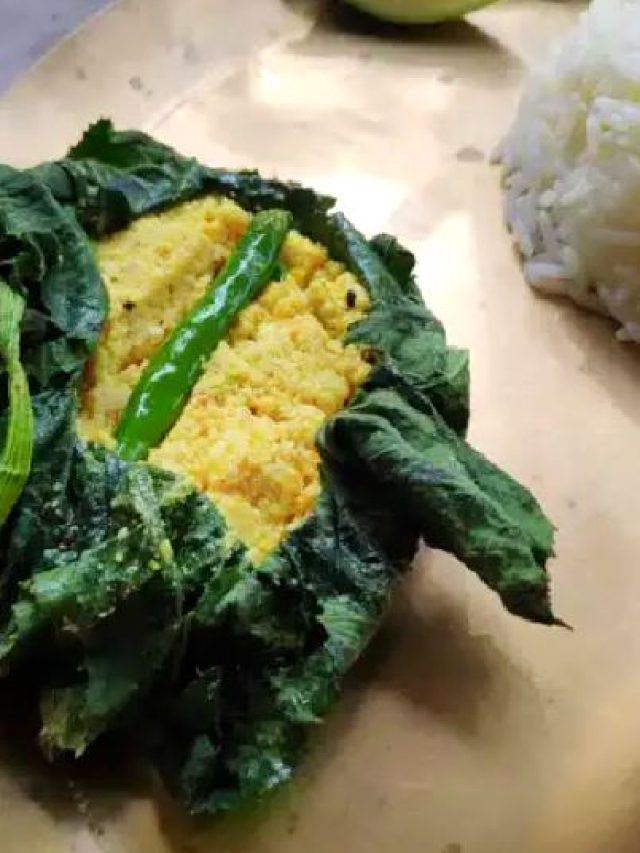 কুমড়ো পাতায় ছানার পাতুরি, গরম ভাতে অমৃত