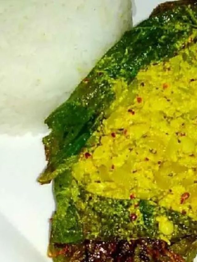 কুমড়ো পাতায় পনির পাতুরির রেসিপি