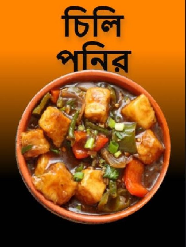 টক ঝাল চিলি পনির বানানোর ধামাকা রেসিপি শিখে নিন