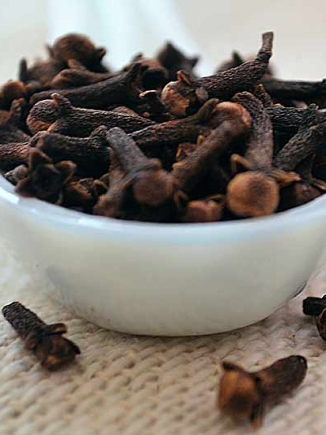 বাড়ির গামলায় গামলায় করুন লক্ষ টাকার লবঙ্গ চাষ, চাষের সহজ পদ্ধতি