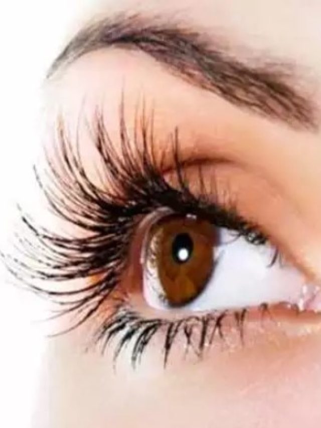 এই ২ ঘরোয়া উপায়ে একমাসেই পাবেন ঘন-লম্বা আইল্যাশ!