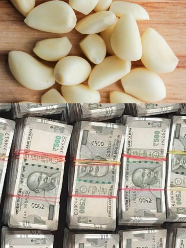 এই জায়গায় রাখুন রসুনের কোয়া, কোটিপতি হতে সময় লাগবে না