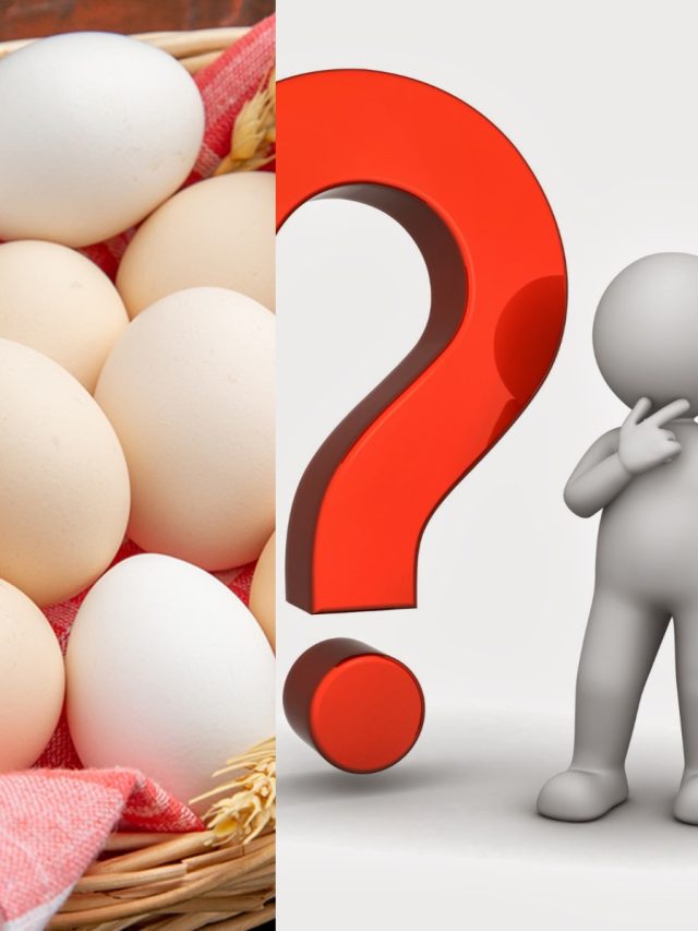 কতরকম ডিম  খাওয়া হয় জানেন? কোনটি সবচেয়ে উপকারী?