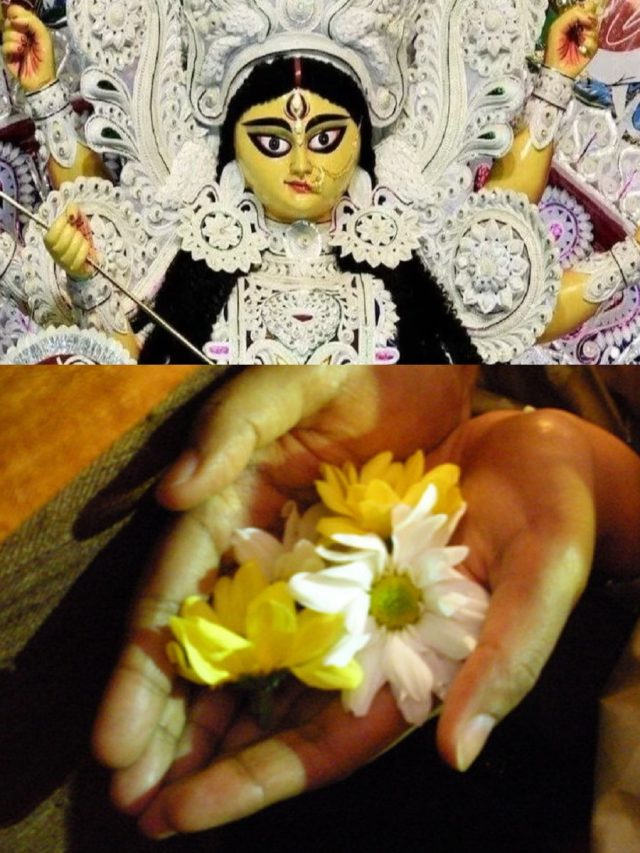 এবার অঞ্চলি দিন এই ফুলে, সংকট দূর করবেন স্বয়ং দশভূজা