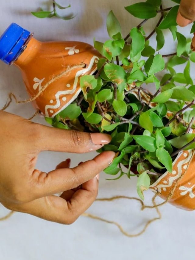 খালি প্লাস্টিকের বোতল দিয়ে এভাবে বানান বিভিন্ন রকমের টব