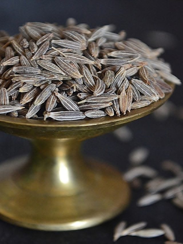 রান্নায় মুঠো মুঠো জিরা খান? হতে পারে ক্ষতি