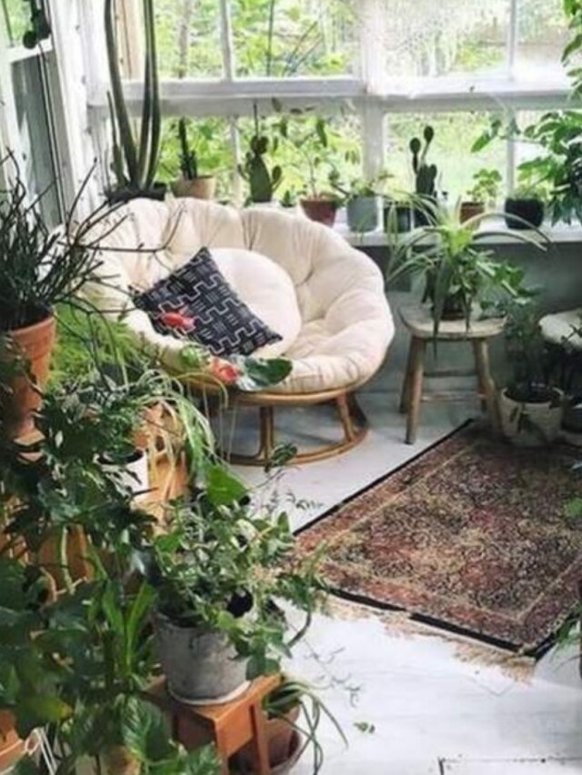 বাতাসের বিষ শুষে অক্সিজেন বাড়ায়, ঘরের ভিতরে রাখুন এই ৮ গাছ