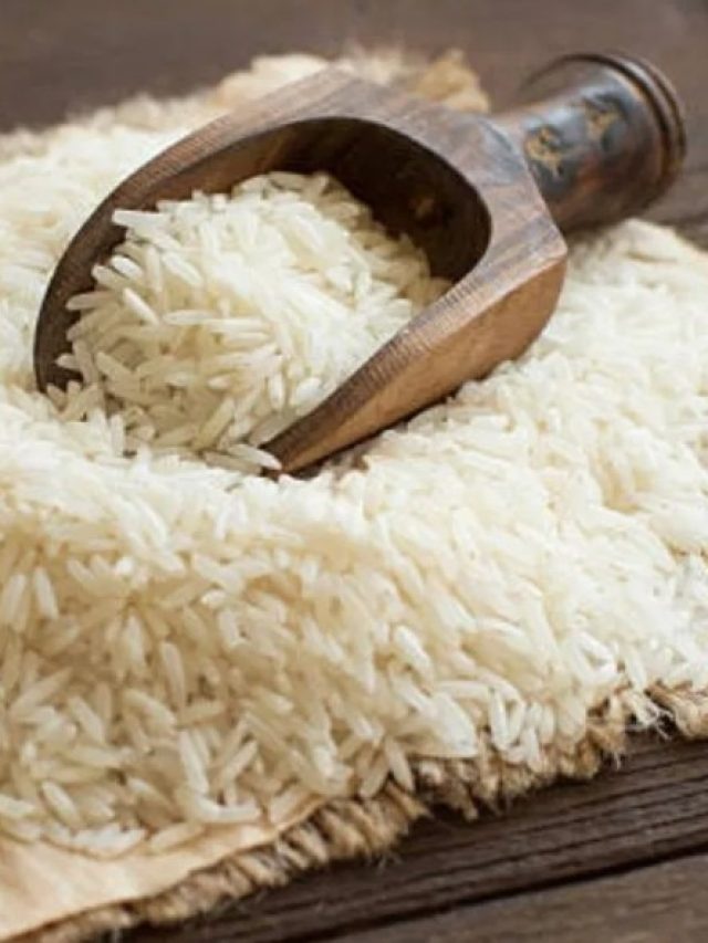 চাল সঠিক না হলেই 'ঘেঁটে ঘ' হবে বিরিয়ানি, বানানোর আগে জেনে নিন