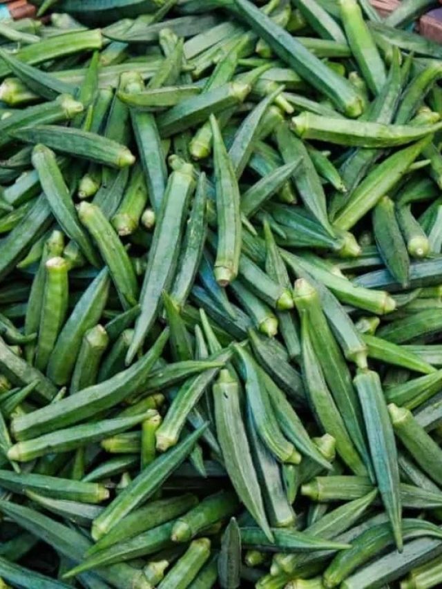 পাকিস্তানের জাতীয় সব্জি ঢ্যাঁড়স, ভারতের কী জানা আছে?