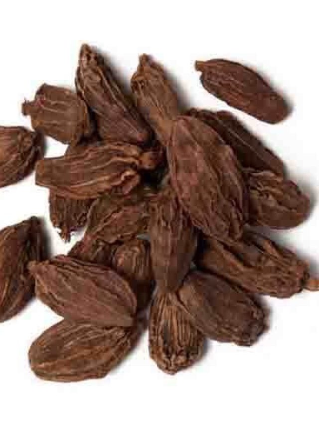 রোজ একটা বড় এলাচেই বহু রোগ থেকে মুক্তি, কেন জানুন?