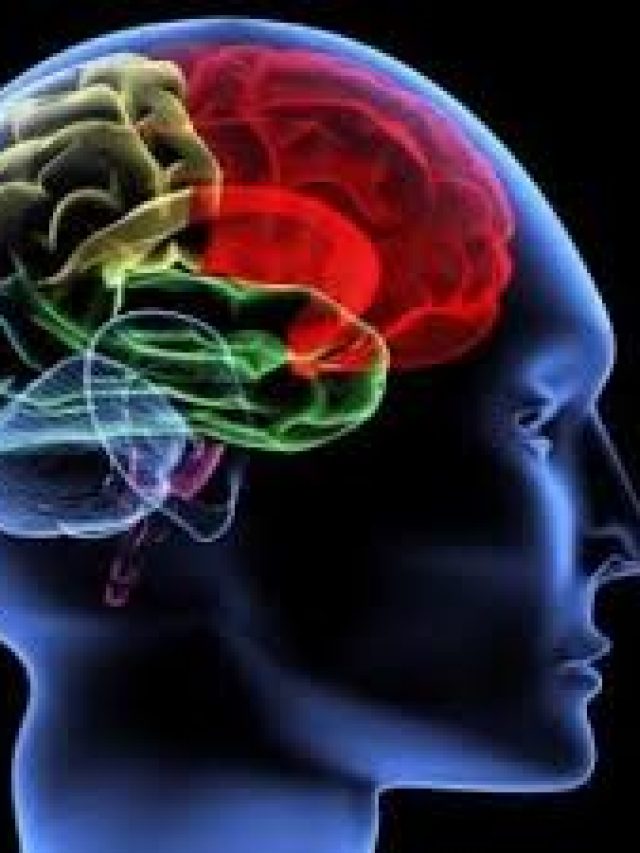 কয়েকদিনে মস্তিষ্ক হবে আরও শক্তিশালী, করুন এই ৫ অভ্যেস