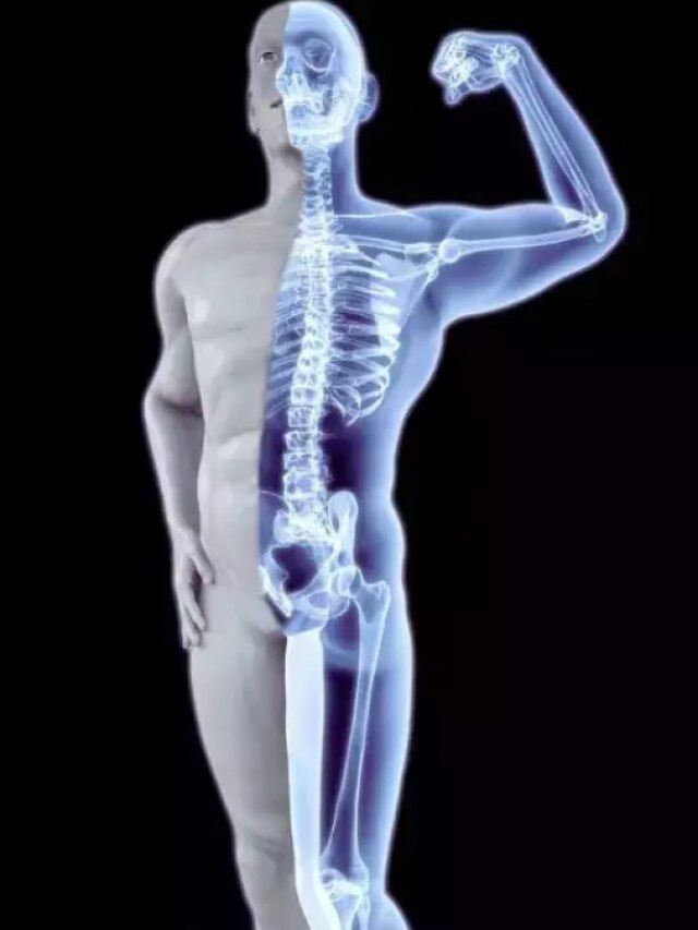 কম বয়সেই হাড় থেকে ক্যালসিয়াম উধাও করে এসব খাবার