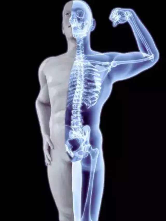 বৃদ্ধ বয়সেও  হাড় থাকবে যৌবনের মতো মজবুত! শুধু খেতে হবে এসব খাবার