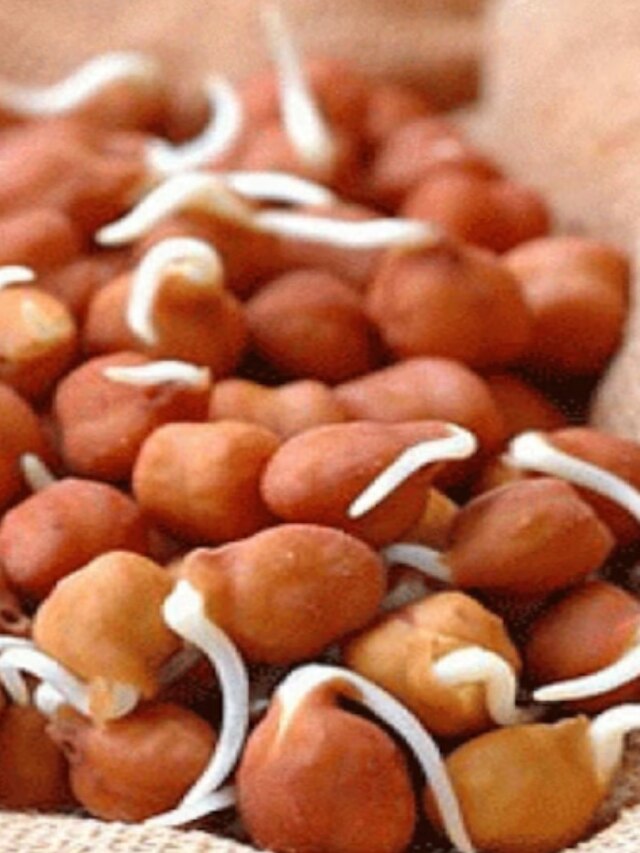 সকালে ভেজানো ছোলার সঙ্গে খান এই ড্রাইফ্রুট, জবরদস্ত জোশ পাবেন