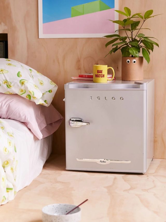 বেডরুমে রাখেন ফ্রিজ, কাজটি শুভ কি?