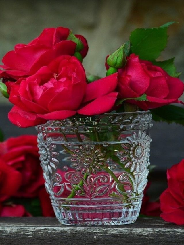 এভাবে ফুলদানিতে ফুল রাখলে দীর্ঘদিন সতেজ থাকবে