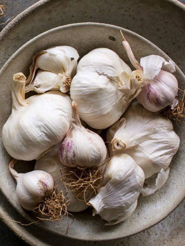 ১০০ রোগ প্রতিরোধকারী, তবে এরা রসুন  খেলে ঘোর বিপদ!