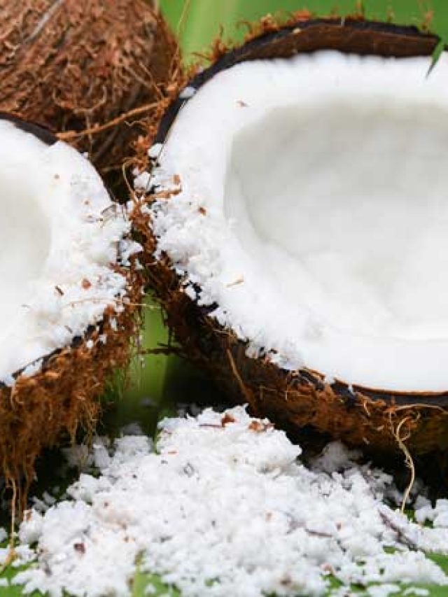 কুরুনি ছাড়াই মিহি নারকেল কোরাতে লাগবে শুধু এই জিনিস, খুব সহজ পদ্ধতি