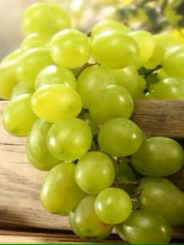 ভাল থাকবে হার্ট, রোজ আঙুর খেলে আর যা যা লাভ